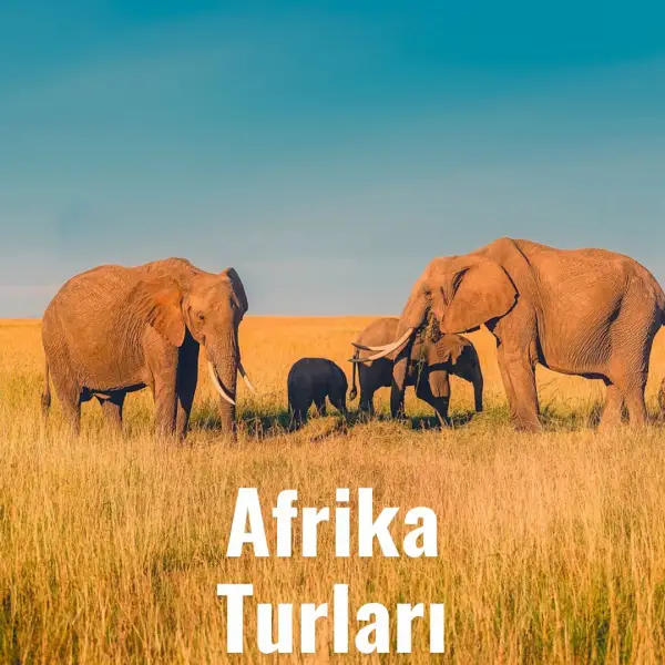 Afrika Turları